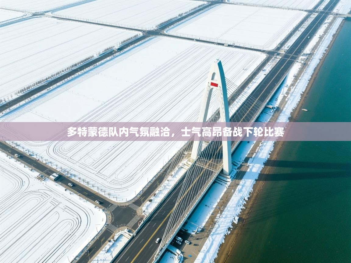 开云体育无法登录解决方案-多特蒙德队内气氛融洽，士气高昂备战下轮比赛  第1张