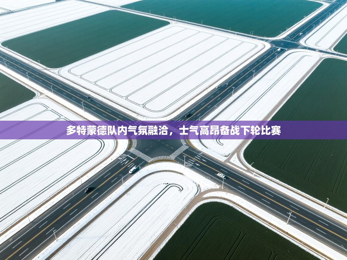 开云体育无法登录解决方案-多特蒙德队内气氛融洽，士气高昂备战下轮比赛  第3张