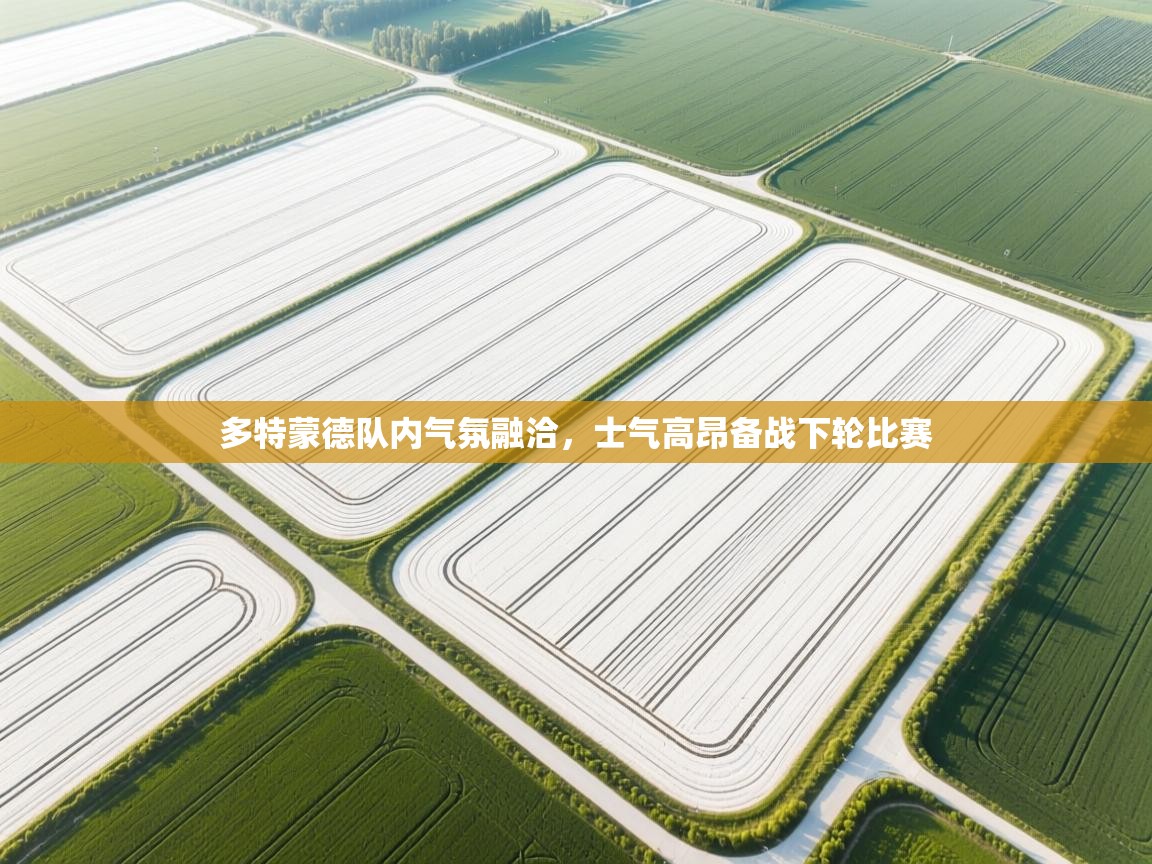 开云体育无法登录解决方案-多特蒙德队内气氛融洽，士气高昂备战下轮比赛  第4张