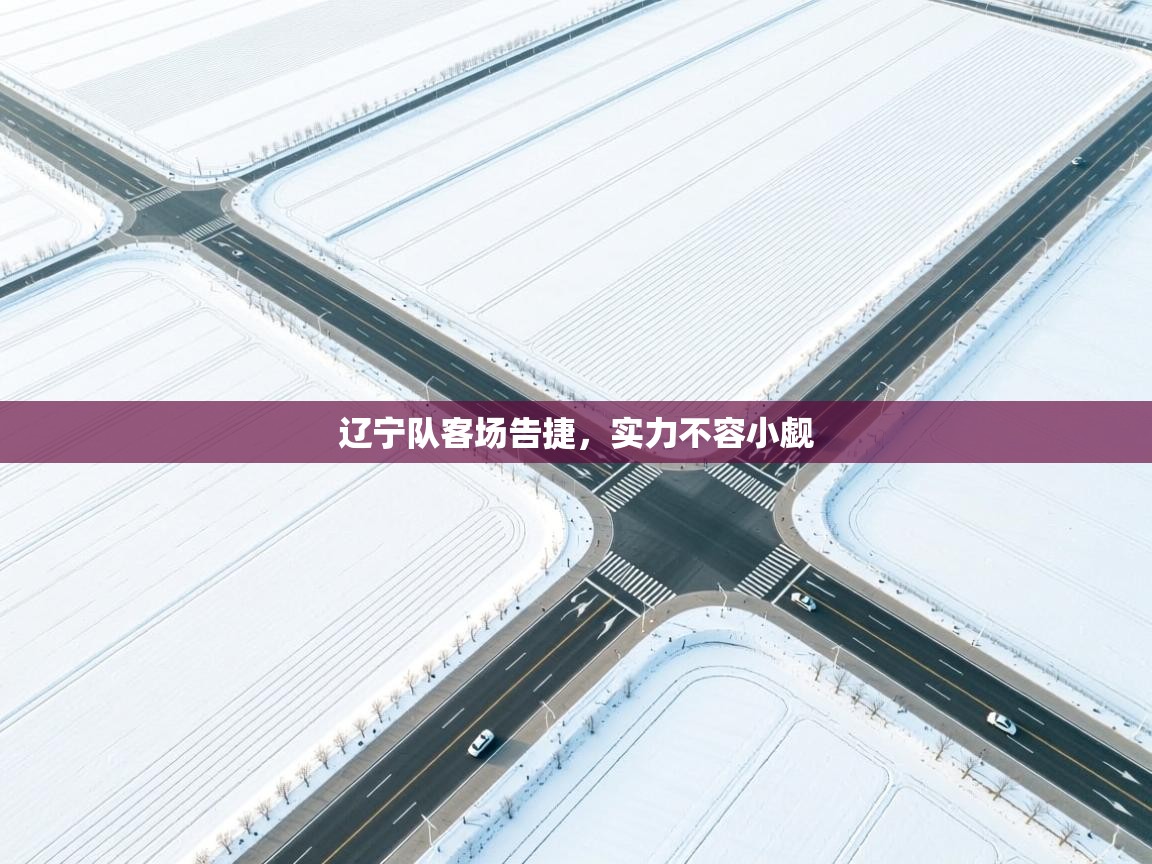 开云体育官方版下载-辽宁队客场告捷,实力不容小觑 第1张