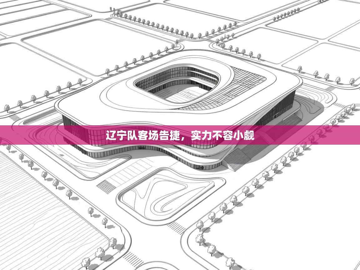 开云体育官方版下载-辽宁队客场告捷,实力不容小觑 第2张