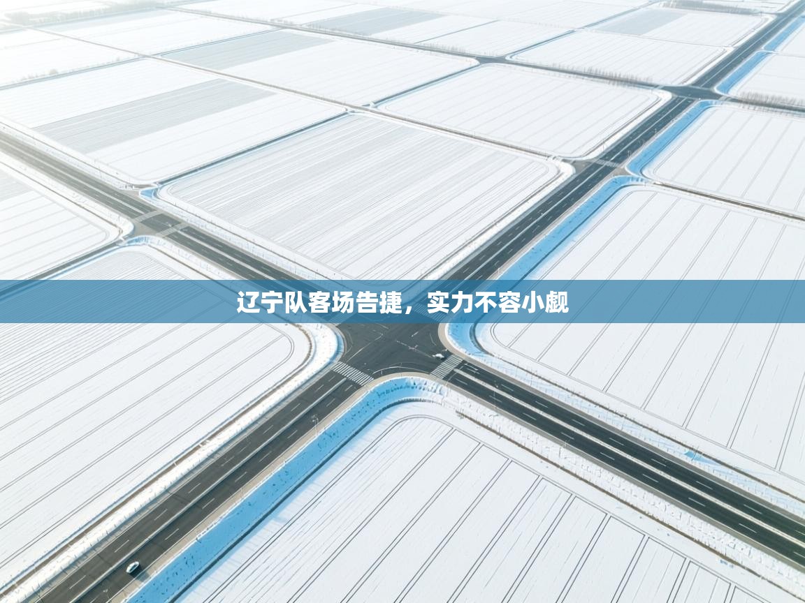 开云体育官方版下载-辽宁队客场告捷,实力不容小觑 第3张