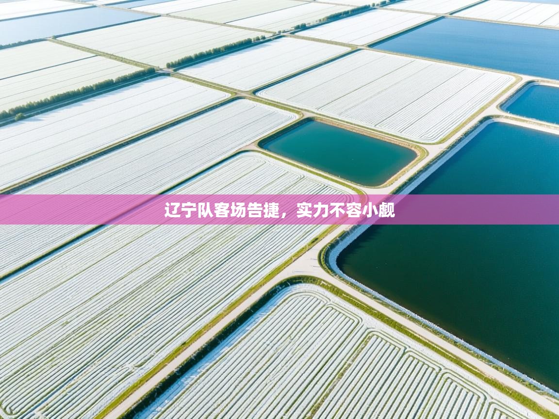 开云体育官方版下载-辽宁队客场告捷,实力不容小觑 第4张