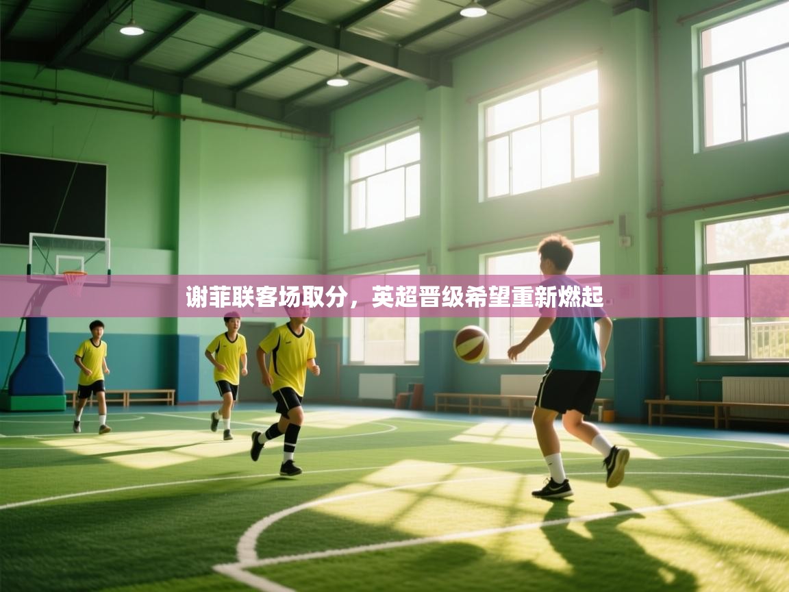 开云体育在线玩-谢菲联客场取分，英超晋级希望重新燃起  第3张