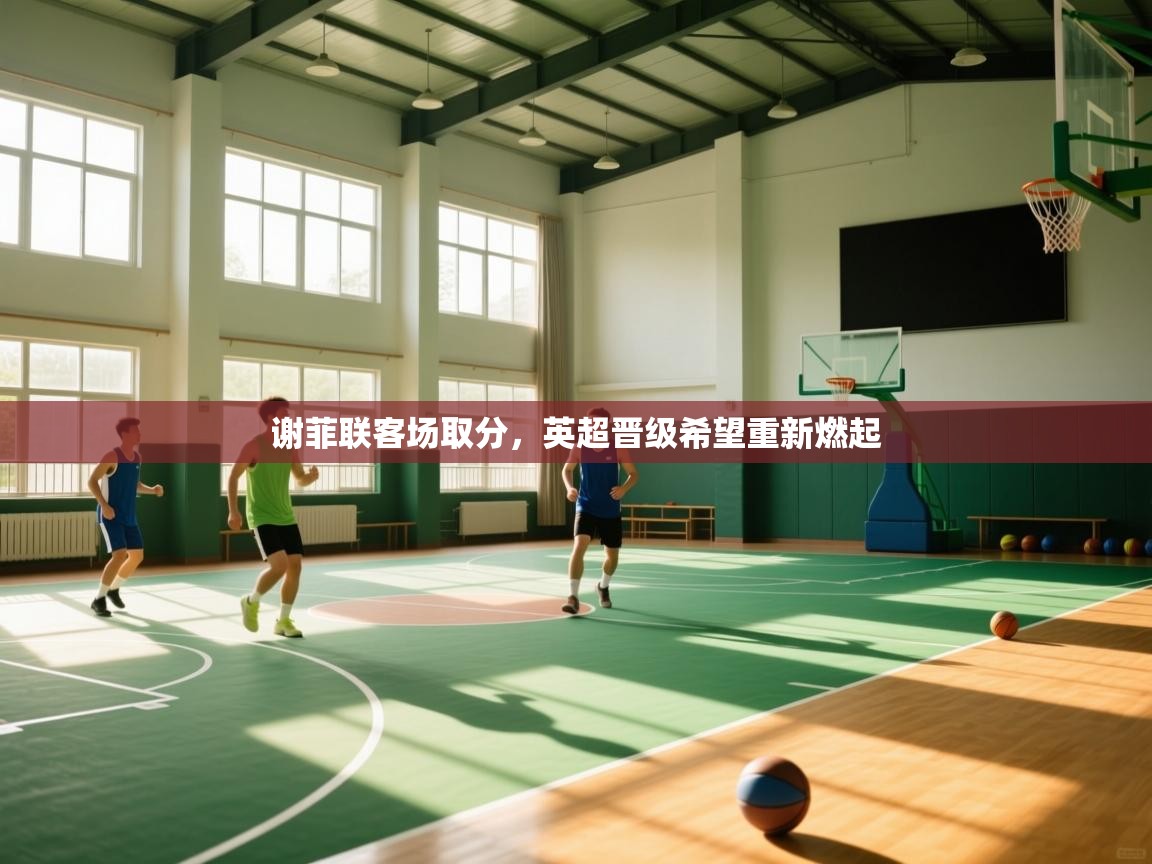 开云体育在线玩-谢菲联客场取分，英超晋级希望重新燃起  第2张