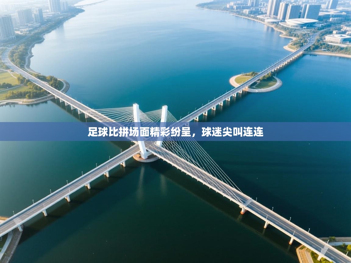 开云体育数据中心统计-足球比拼场面精彩纷呈,球迷尖叫连连 第1张