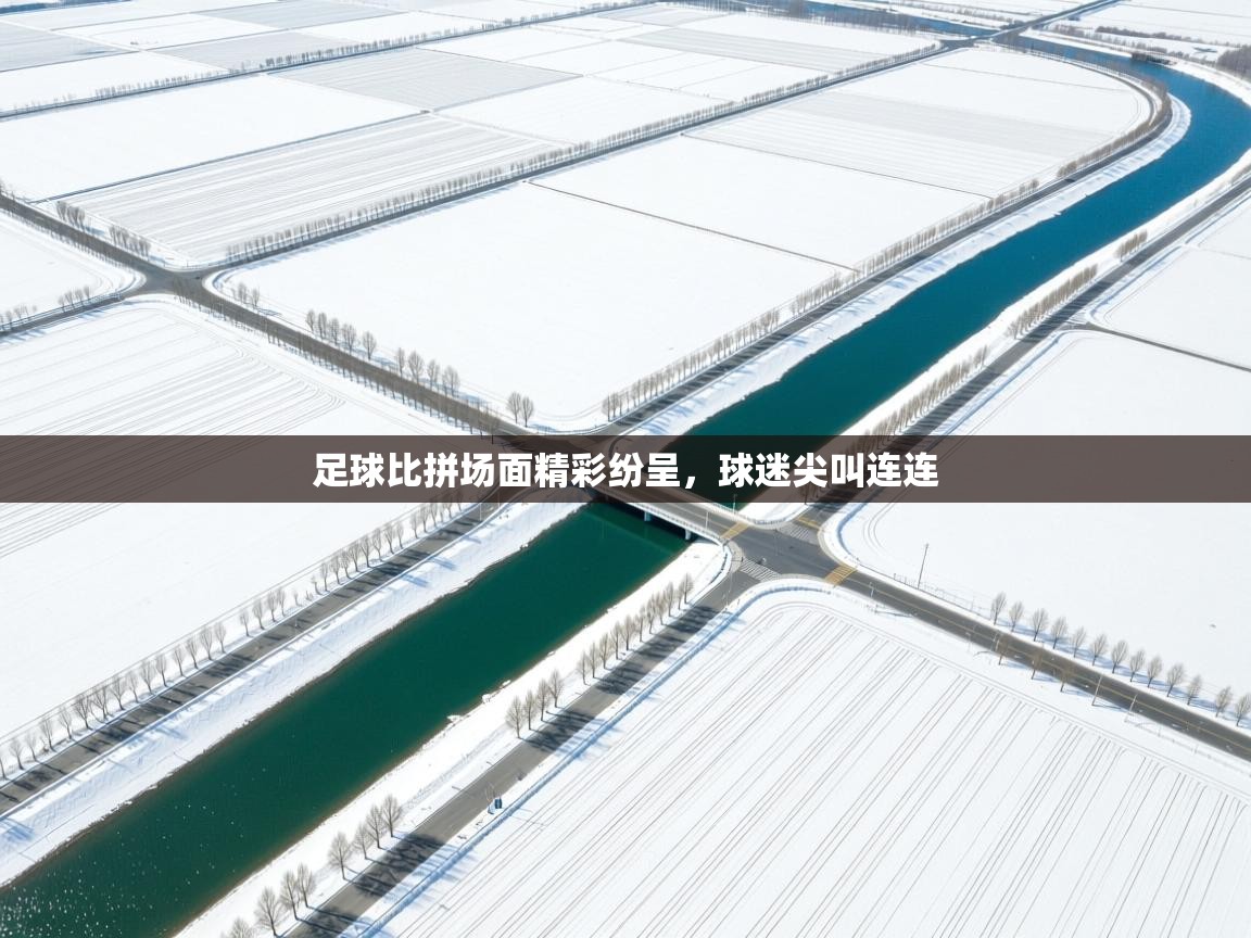 开云体育数据中心统计-足球比拼场面精彩纷呈,球迷尖叫连连 第4张