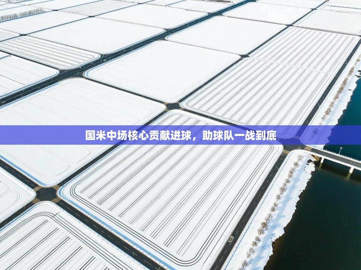 开云体育app下载入口-国米中场核心贡献进球，助球队一战到底  第3张