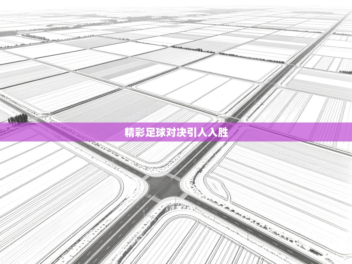 开云体育VIP权益说明-精彩足球对决引人入胜