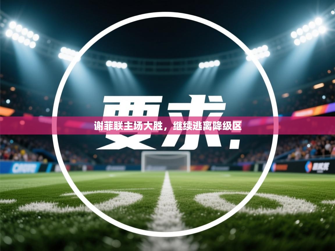 -谢菲联主场大胜，继续逃离降级区